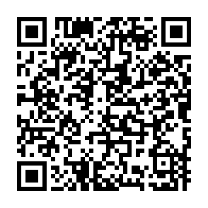 abel castells i monica coronimas